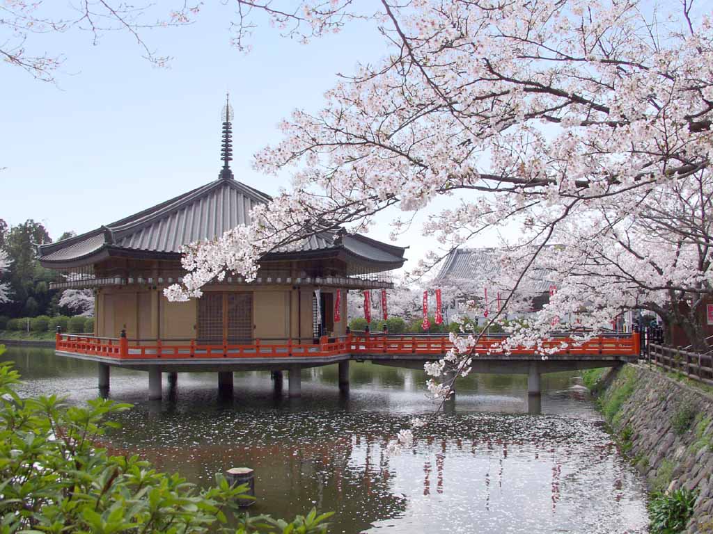 日本旅游强力推荐的观光景点TOP5