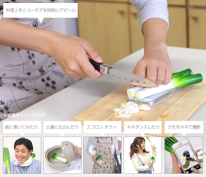 个性搞怪 日本推出iPhone5大葱外壳