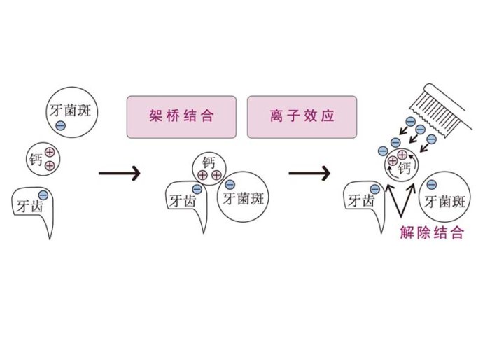 KISS YOU日本负离子牙刷